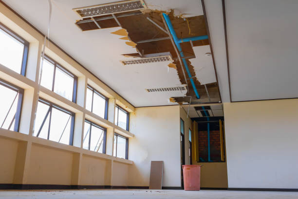 Best Local water damage restoration  in Breckenridge, MI