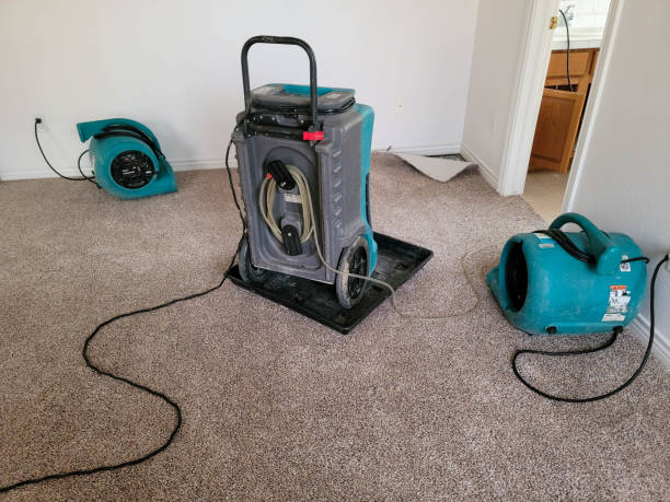 Best Emergency water damage restoration  in Breckenridge, MI