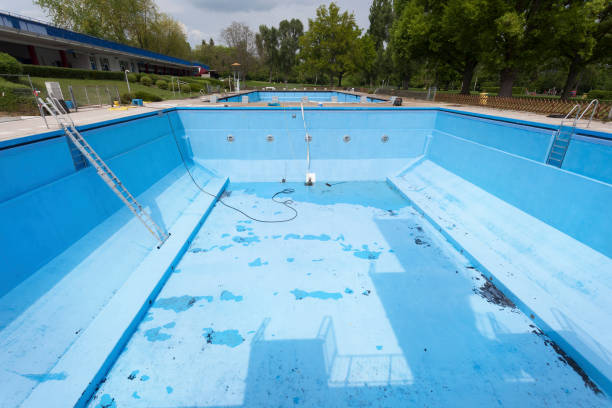 Best Water damage restoration specialists  in Breckenridge, MI