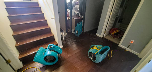 Best Commercial water damage restoration  in Breckenridge, MI
