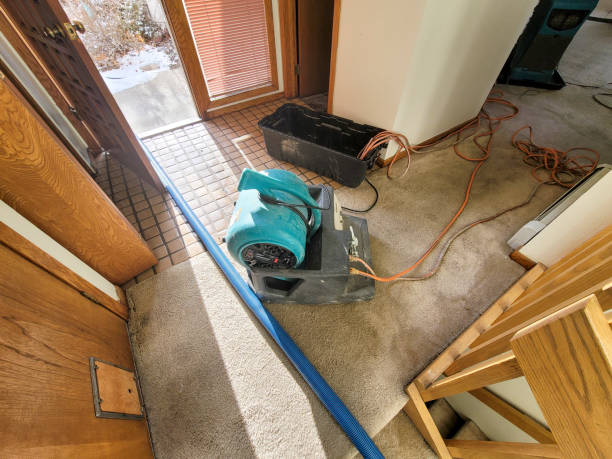 Best Flooded house restoration  in Breckenridge, MI