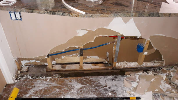 Best 24/7 water damage repair  in Breckenridge, MI