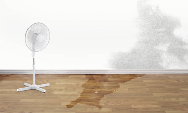 Best Ceiling water damage repair  in Breckenridge, MI