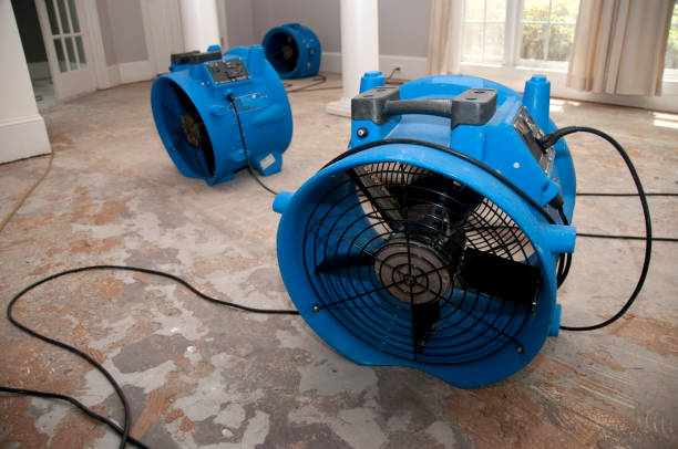 Best Water damage restoration near me  in Breckenridge, MI