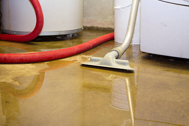 Best Water damage restoration near me  in Breckenridge, MI