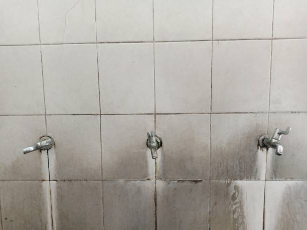 Best Basement water damage restoration  in Breckenridge, MI
