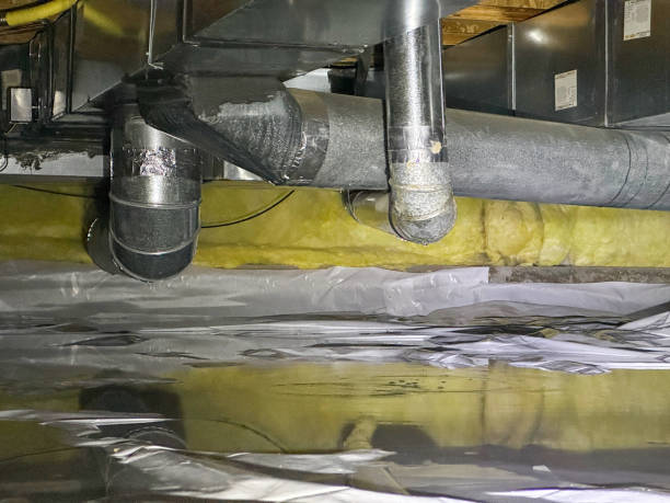 Best Water damage contractors near me  in Breckenridge, MI