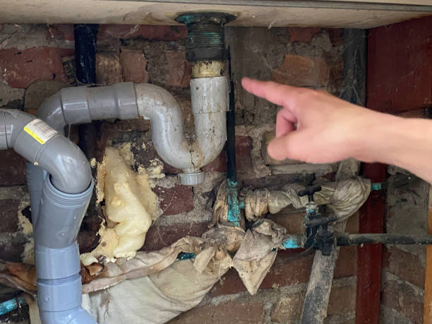 Best Fire Damage Restoration  in Breckenridge, MI