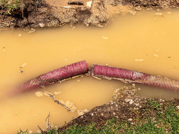 Best 24-hour water damage restoration  in Breckenridge, MI