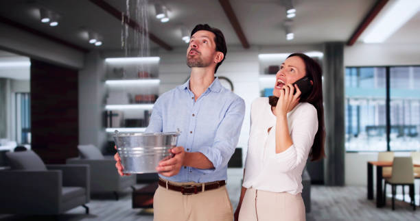 Best Mold removal after water damage  in Breckenridge, MI