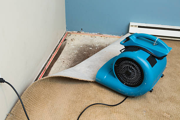 Reliable Breckenridge, MI Water damage restoration Solutions