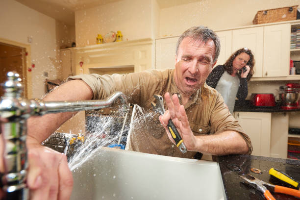 Best Basement water damage restoration  in Breckenridge, MI
